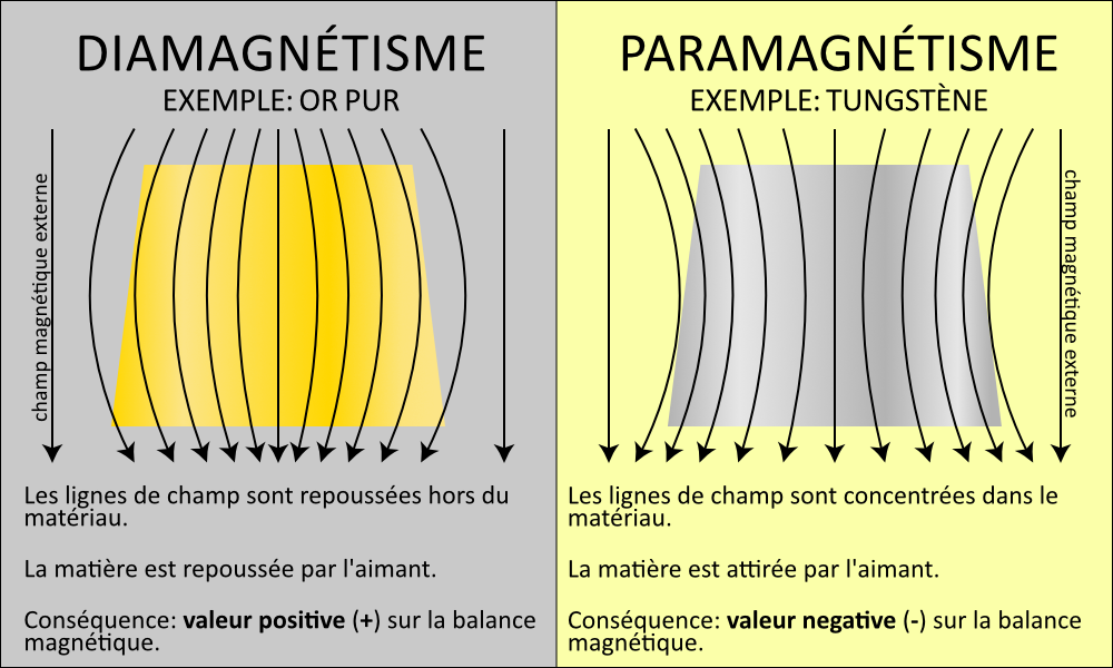 MagneticScreenScale