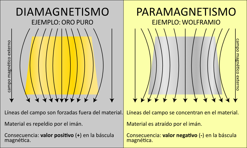 MagneticScreenScale